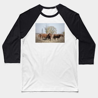 Bovine Animals Baseball T-Shirt